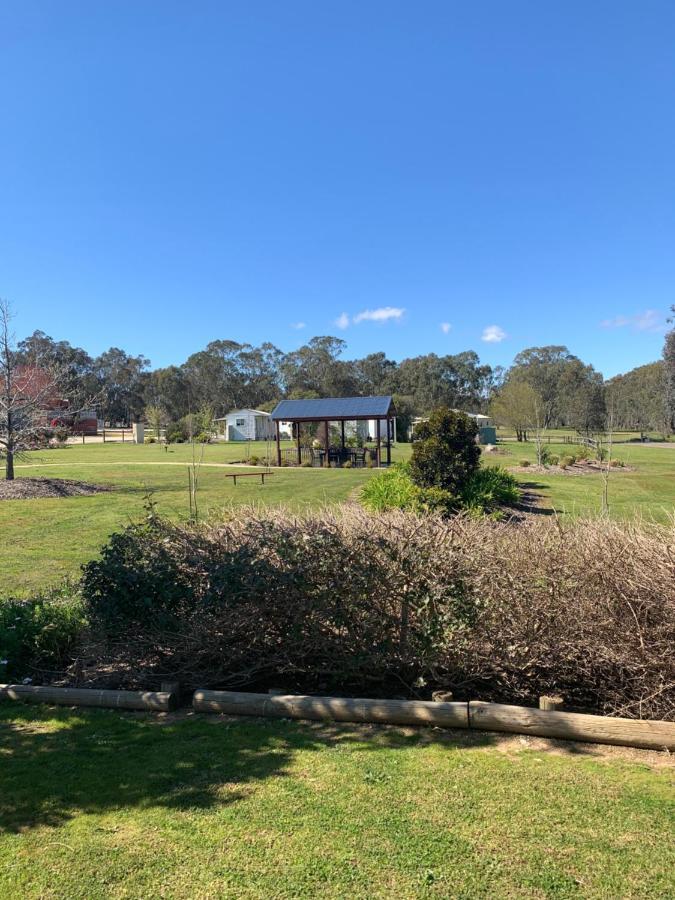 Blazing Stump Motel & Suites Wodonga Extérieur photo